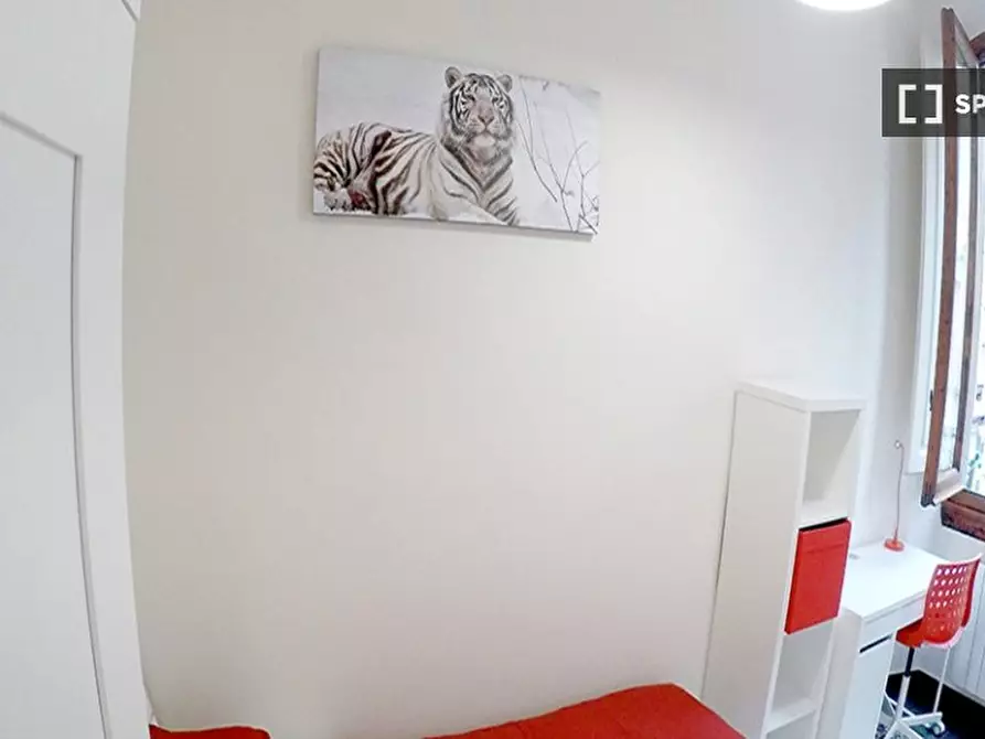 Immagine 5 di Camera condivisa in affitto  in Via della Cernaia a Firenze