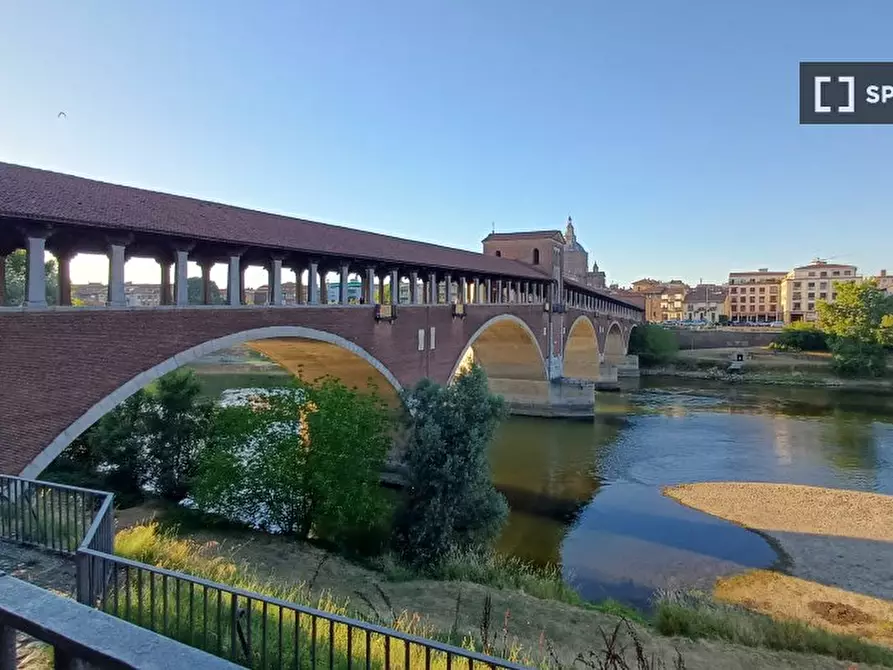 Immagine 5 di Appartamento in affitto  in Via dei Mille a Pavia
