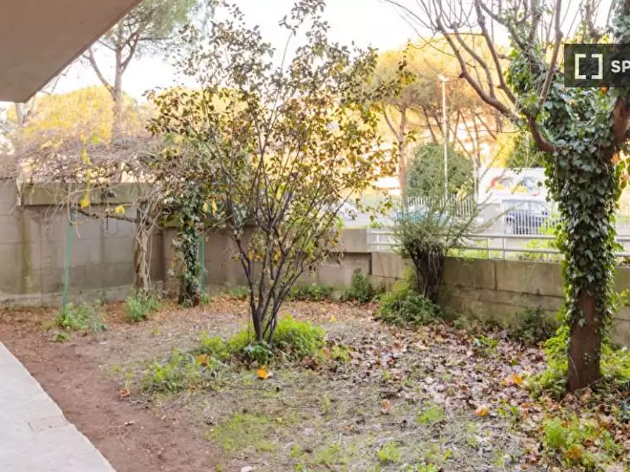 Immagine 15 di Camera condivisa in affitto  in Via Fiume delle Perle a Roma