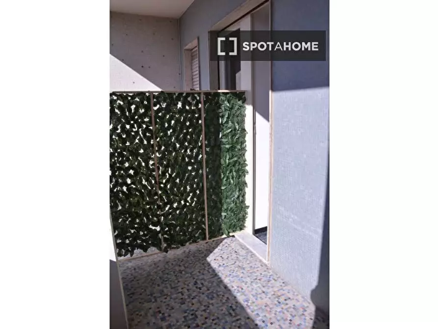 Immagine 12 di Camera condivisa in affitto  in Via dei Passeri a Cagliari