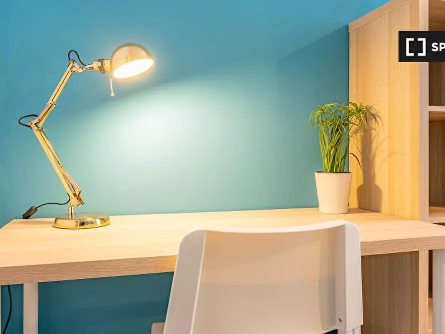 Immagine 5 di Camera condivisa in affitto  in Via Giovanni Battista Morgagni a Milano