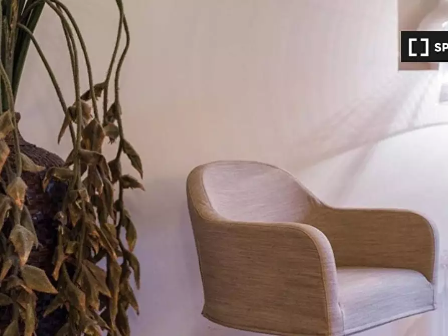 Immagine 17 di Appartamento in affitto  in Via delle Terme a Firenze