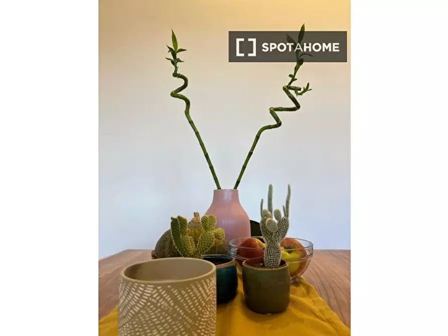 Immagine 4 di Appartamento in affitto  in Via Treviglio a Milano