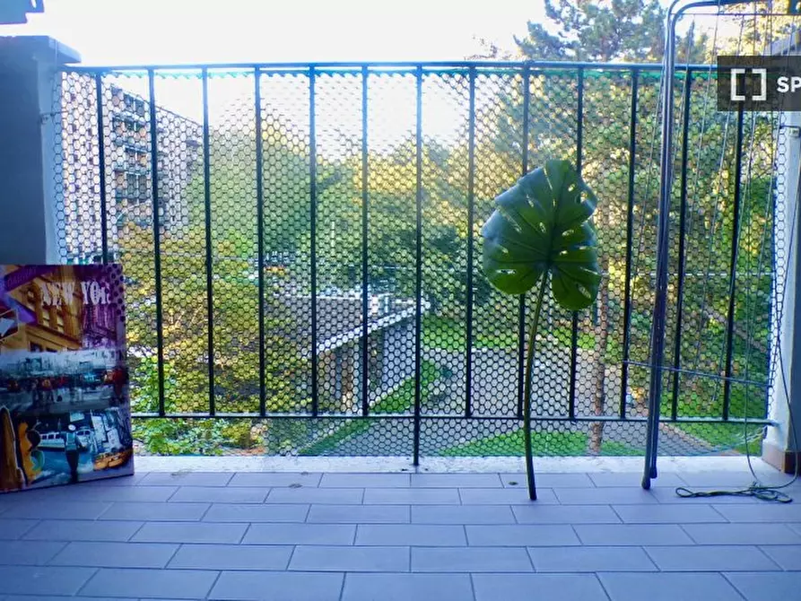Immagine 14 di Camera condivisa in affitto  in Beroaldo a Bologna