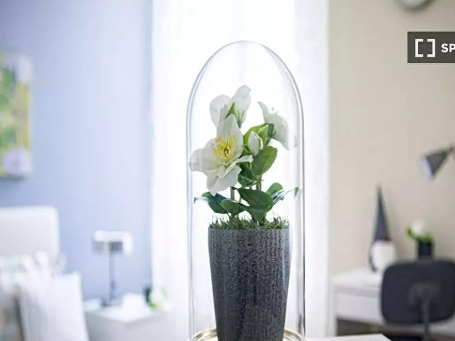 Immagine 7 di Camera condivisa in affitto  in Viale Nazario Sauro a Milano