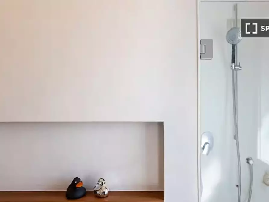 Immagine 14 di Appartamento in affitto  in Via Grigna a Milano