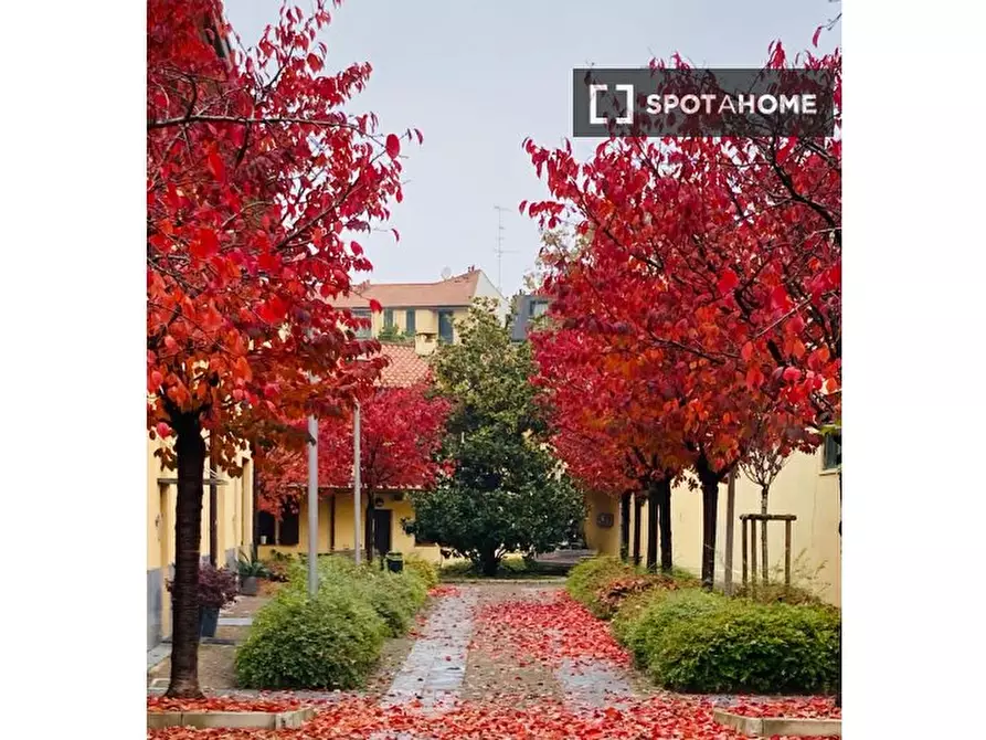 Immagine 8 di Camera condivisa in affitto  in Via Magolfa a Milano