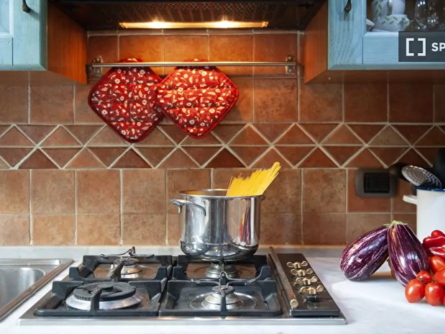 Immagine 14 di Appartamento in affitto  in Via Gaetano Milanesi a Firenze