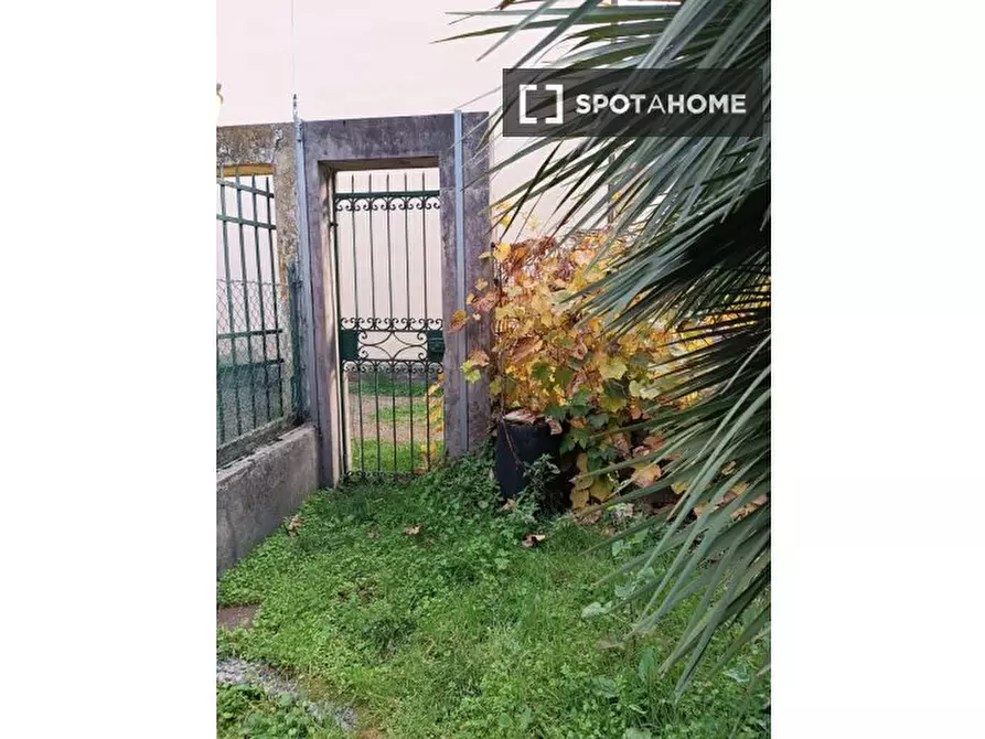 Immagine 2 di Appartamento in affitto  in Via Senese a Firenze