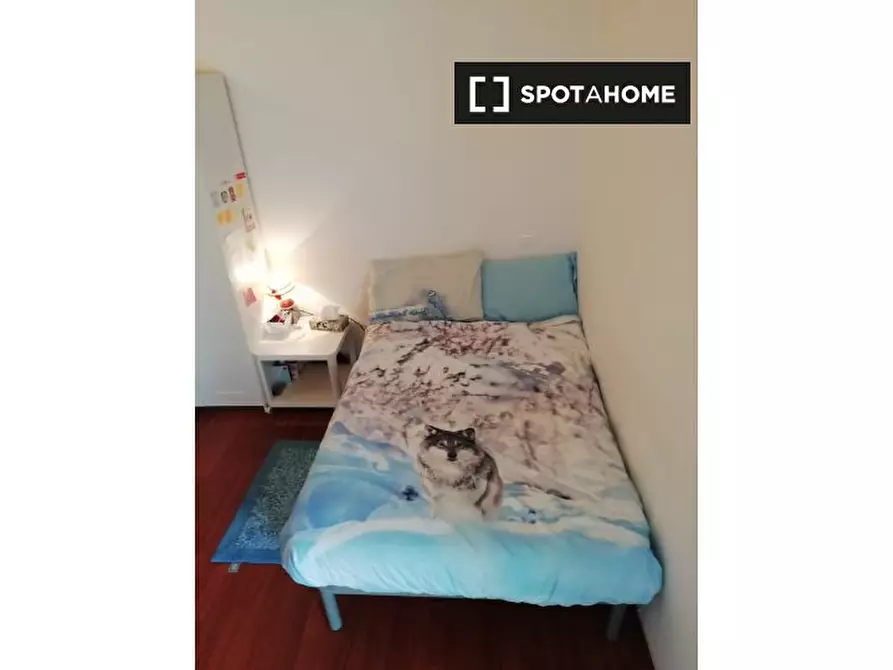 Immagine 19 di Camera condivisa in affitto  in Via Federico Confalonieri a Padova