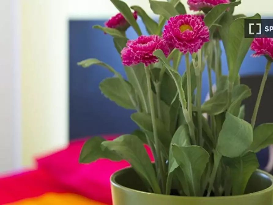 Immagine 14 di Camera condivisa in affitto  in Viale Carlo Espinasse Milan a Milano