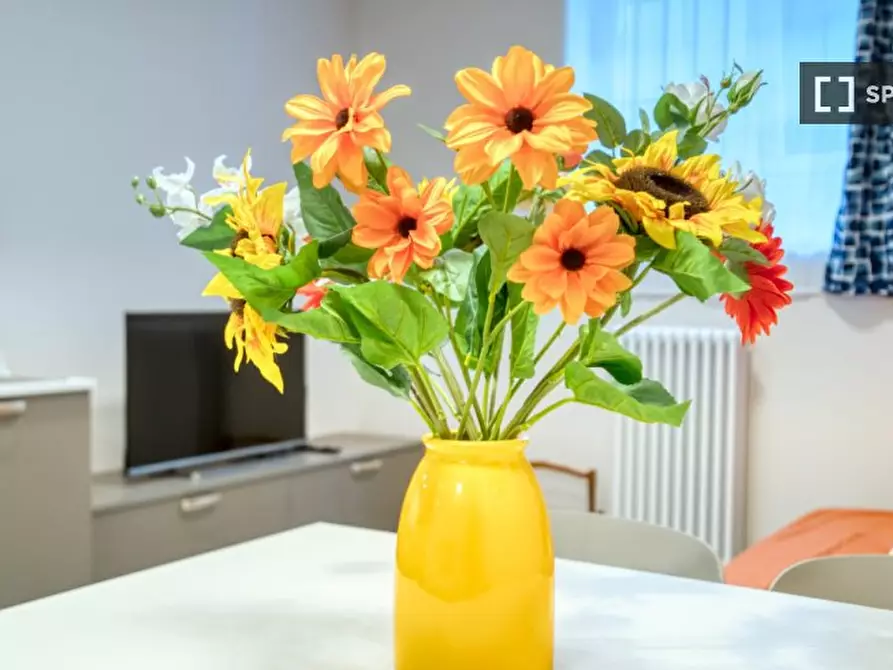 Immagine 16 di Appartamento in affitto  in Piazzale Nizza a Milano