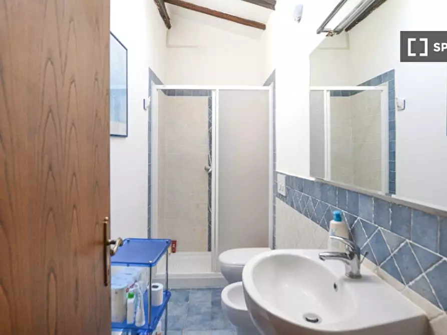 Immagine 12 di Appartamento in affitto  in Via Lunga a Santa Fiora