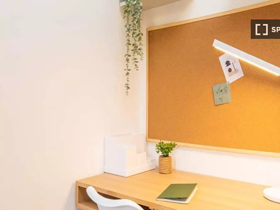 Immagine 13 di Camera condivisa in affitto  in Viale Tibaldi a Milano