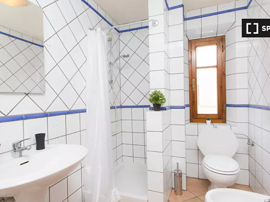 Immagine 14 di Appartamento in affitto  in Viale Fratelli Rosselli a Firenze