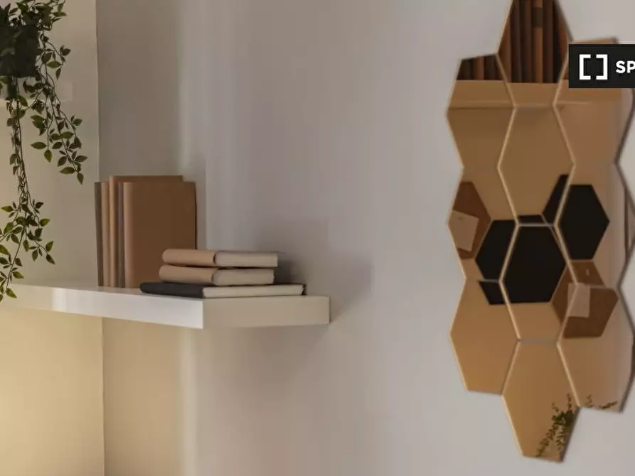 Immagine 12 di Camera condivisa in affitto  in Via Stefano Maria Clemente a Torino