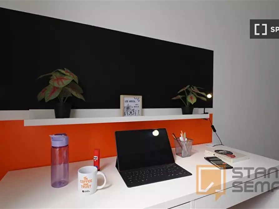 Immagine 3 di Camera condivisa in affitto  in Corso Peschiera a Torino