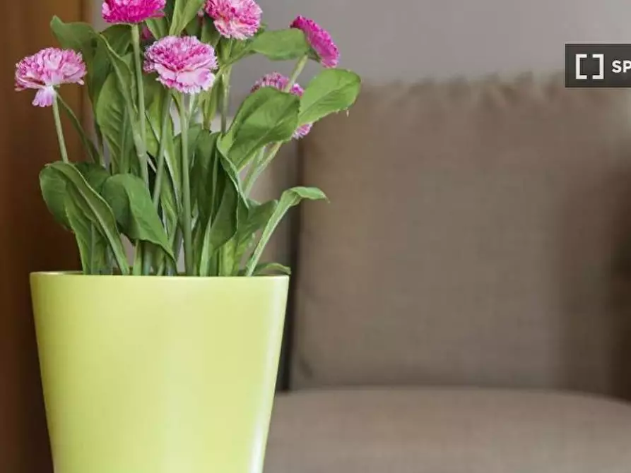 Immagine 7 di Camera condivisa in affitto  in Via Pellegrino Rossi a Milano