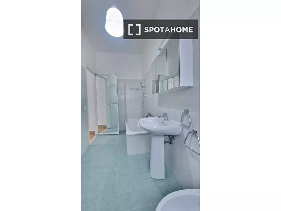 Immagine 19 di Camera condivisa in affitto  in Lungotevere di Pietra Papa a Roma