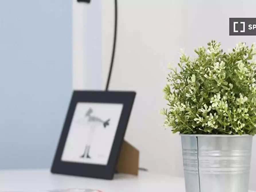 Immagine 1 di Camera condivisa in affitto  in Viale Carlo Espinasse Milan a Milano