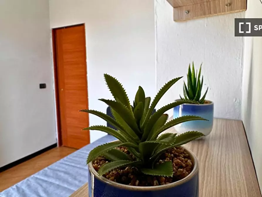 Immagine 14 di Camera condivisa in affitto  in Via Renato Martorelli a Torino