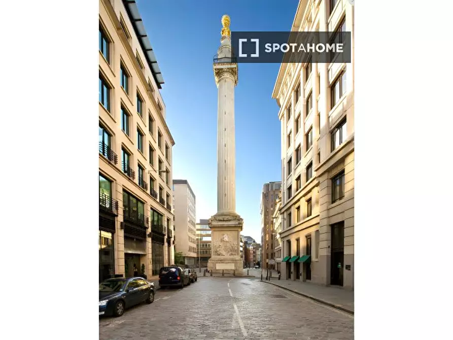 Immagine 7 di Appartamento in affitto  in Monument St a 