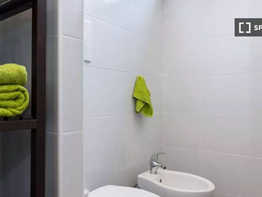 Immagine 13 di Camera condivisa in affitto  in Via Delle Betulle Milan a Monza