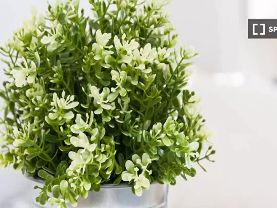 Immagine 2 di Camera condivisa in affitto  in Via Larga a Milano