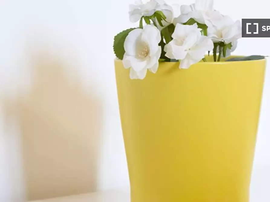 Immagine 8 di Camera condivisa in affitto  in Via Giovanni Da Cermenate a Milano