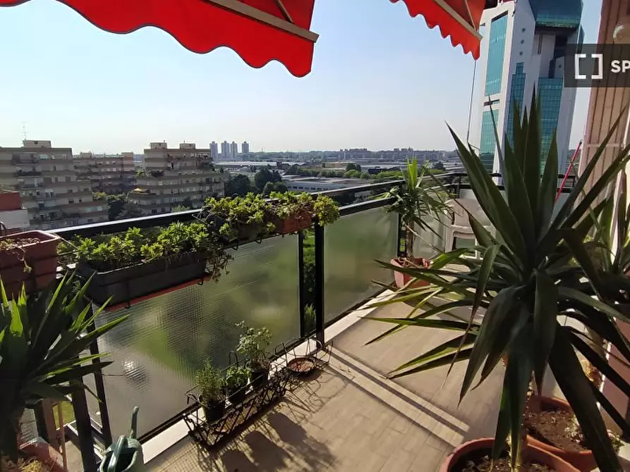 Immagine 10 di Camera condivisa in affitto  in Via Marco Polo a Corsico