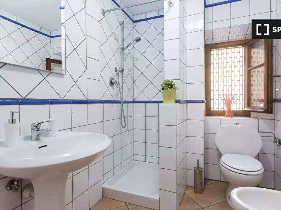 Immagine 11 di Appartamento in affitto  in Viale Fratelli Rosselli a Firenze