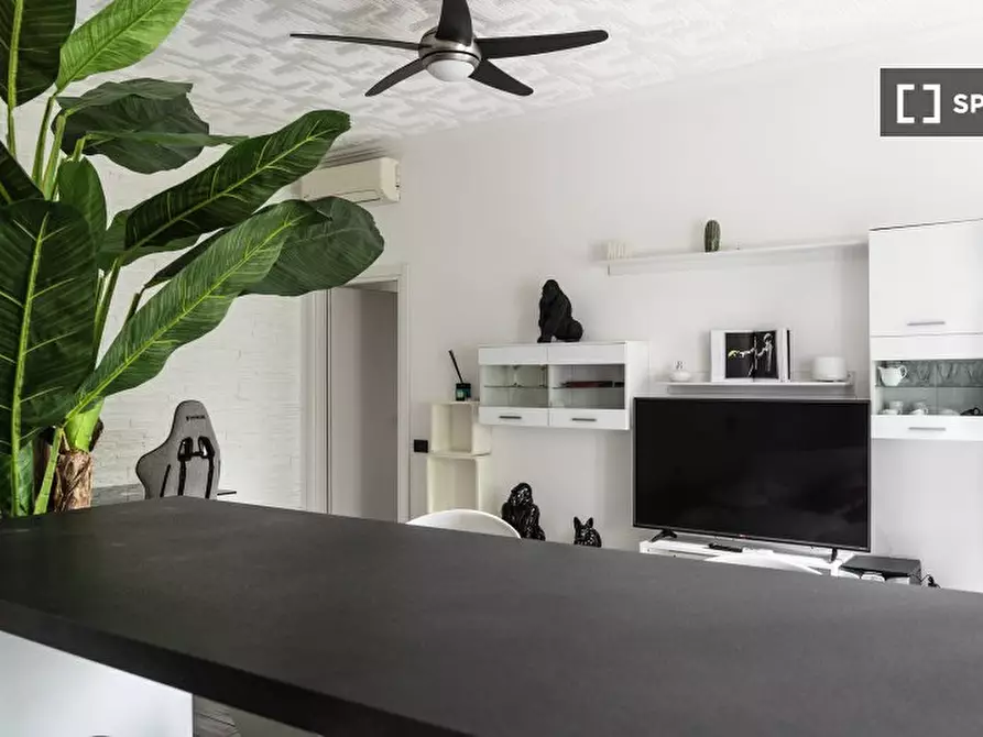 Immagine 8 di Appartamento in affitto  in Via Curio Dentato a Milano