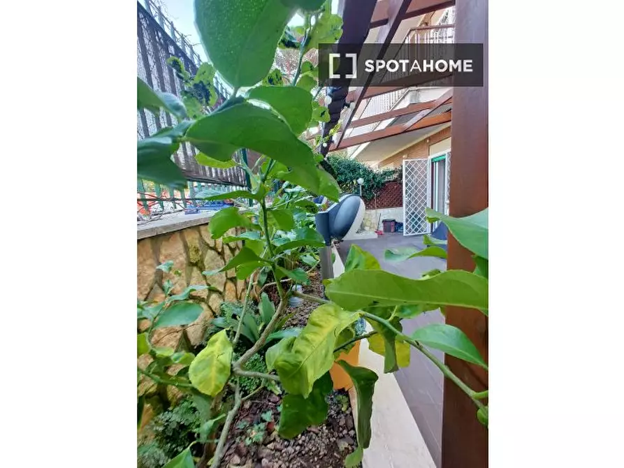 Immagine 7 di Camera condivisa in affitto  in Via Montebruno a Roma