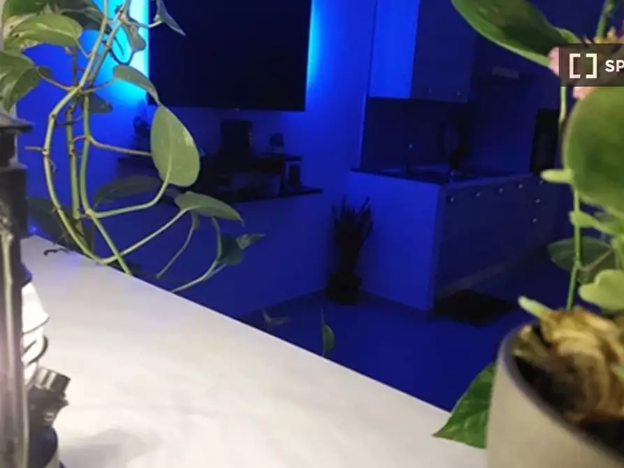 Immagine 11 di Ufficio in affitto  in Via Giovanni de Fraia a Pozzuoli