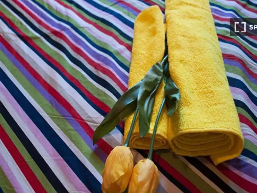 Immagine 11 di Camera condivisa in affitto  in Via Bassini a Milano