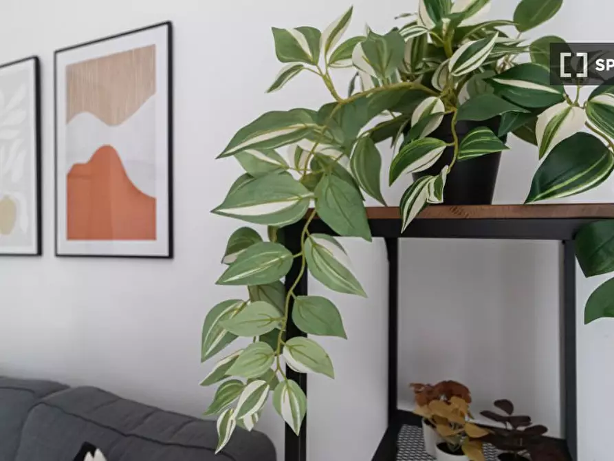 Immagine 18 di Appartamento in affitto  in Via Gallura a Milano