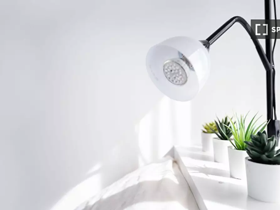 Immagine 6 di Camera condivisa in affitto  in Viale Papiniano a Milano