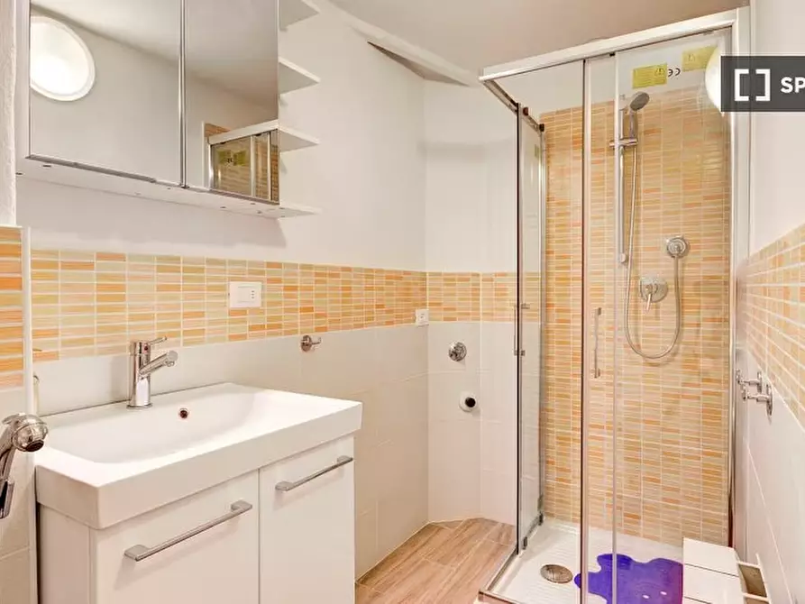 Immagine 13 di Camera condivisa in affitto  in Via delle Brache a Firenze