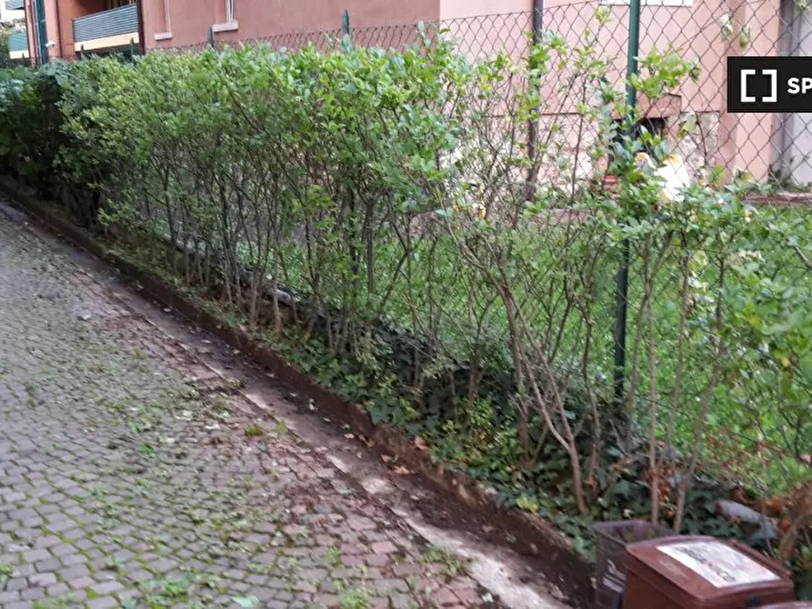 Immagine 8 di Camera condivisa in affitto  in Via Castelbarco a Trento