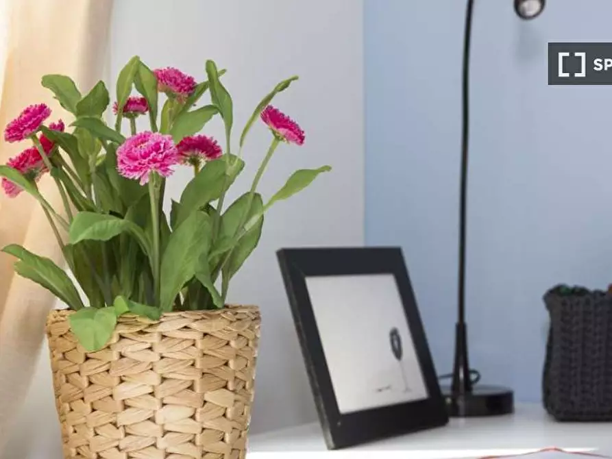 Immagine 5 di Camera condivisa in affitto  in Via Tarquinio Prisco a Milano