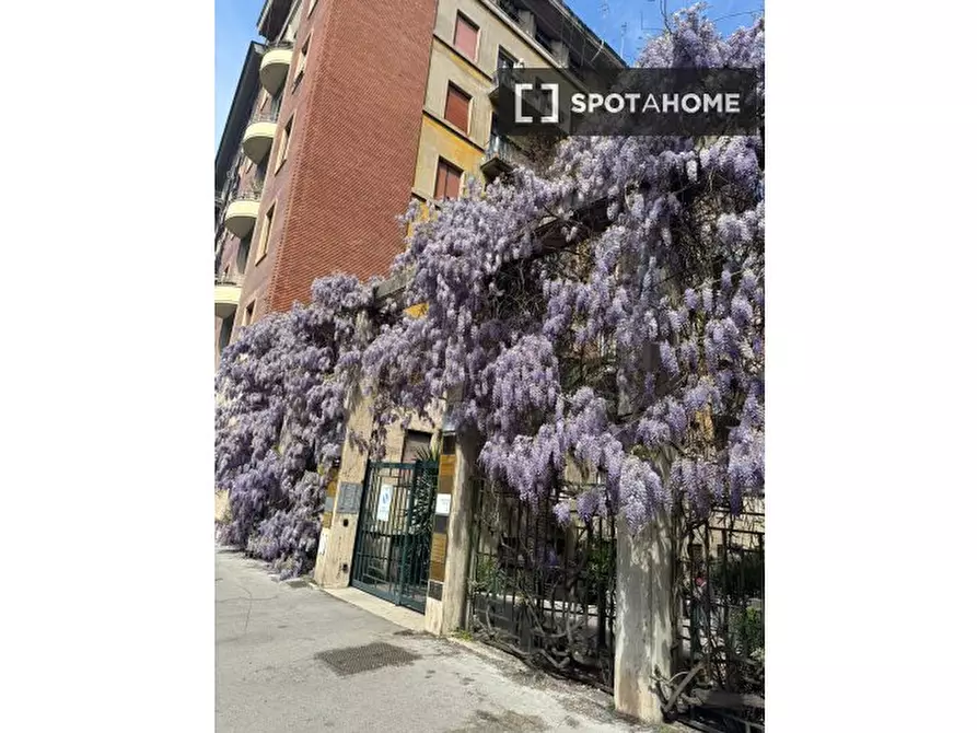 Immagine 2 di Appartamento in affitto  in V.le Giuseppe Mazzini a Roma