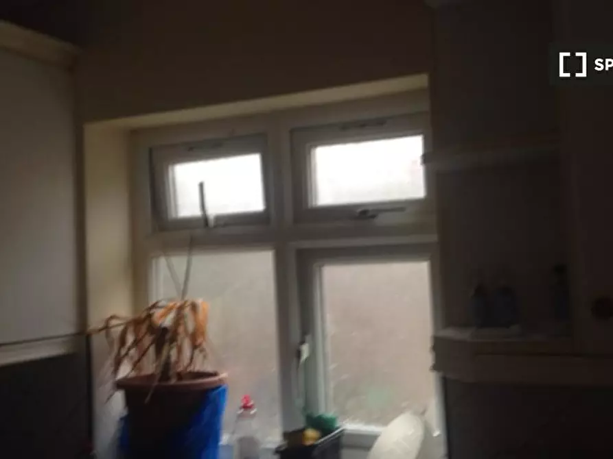 Immagine 9 di Camera condivisa in affitto  in Stanhope Heath a 