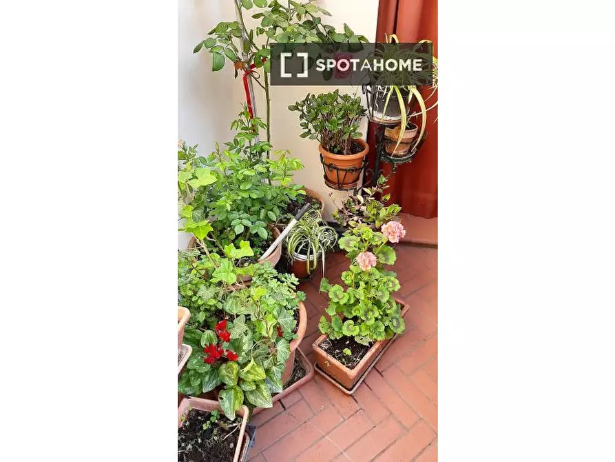 Immagine 12 di Appartamento in affitto  in Via Galliera a Bologna