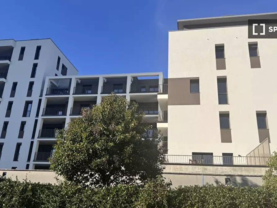 Immagine 19 di Appartamento in affitto  in Piazza Tirana a Milano
