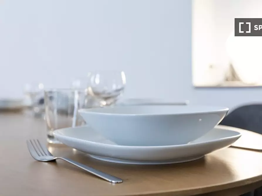 Immagine 15 di Appartamento in affitto  in Via Luigi Settembrini a Milano