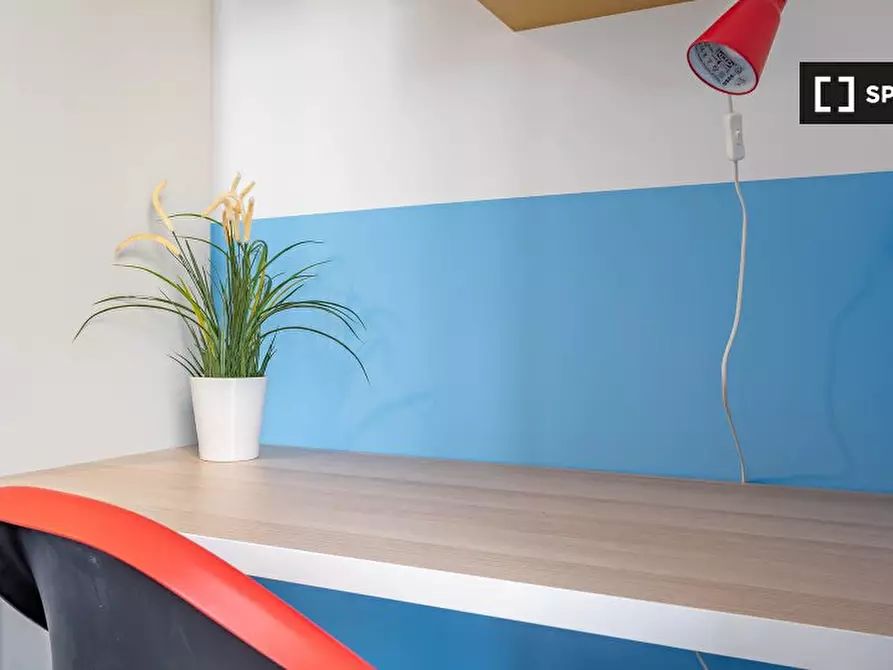 Immagine 5 di Camera condivisa in affitto  in Via Giovanni Cagliero a Milano