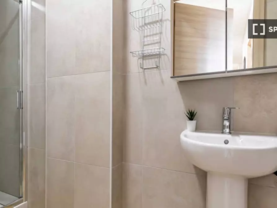 Immagine 17 di Camera condivisa in affitto  in Via Carlo Pedrotti a Torino