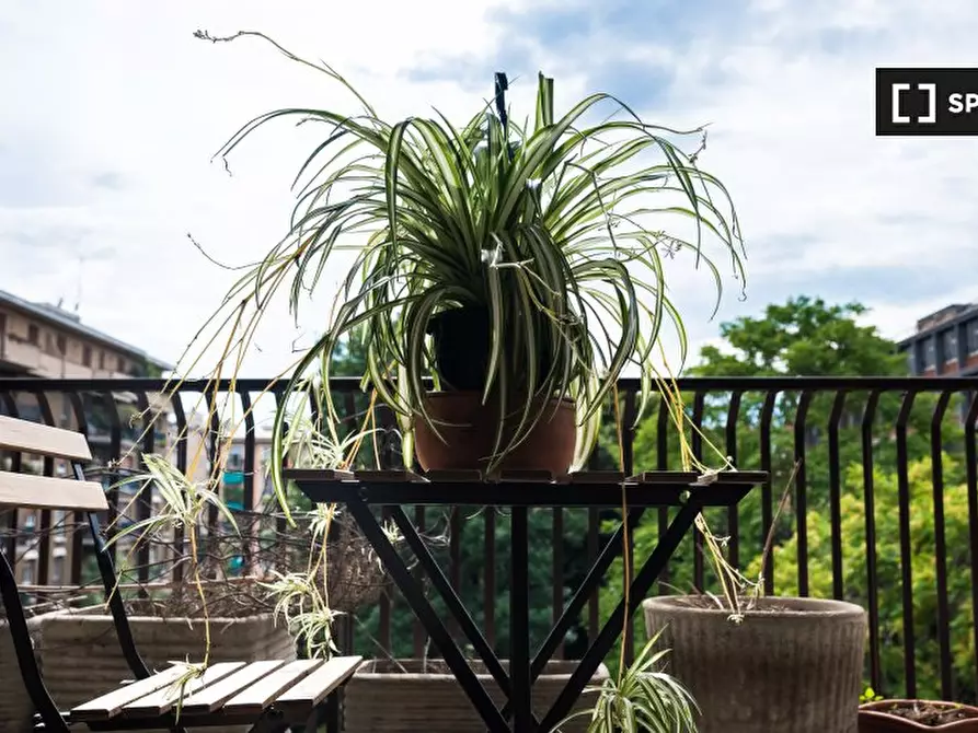 Immagine 8 di Camera condivisa in affitto  in Via Carlo Valvassori Peroni a Milano