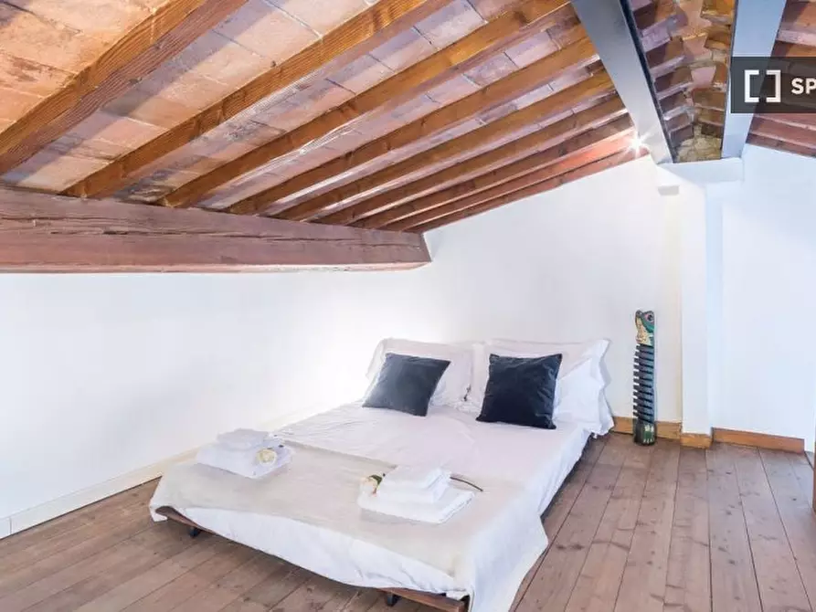 Immagine 12 di Appartamento in affitto  in Via dei Serragli a Firenze