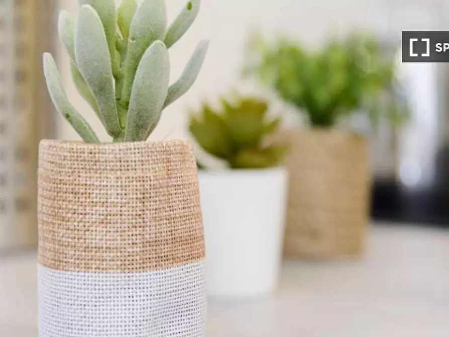 Immagine 17 di Camera condivisa in affitto  in Via Mauro Macchi a Milano